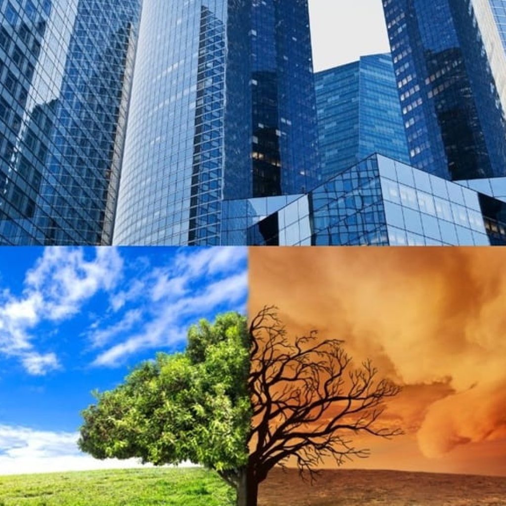 From Fusion to Flood Defence: The Climate Technologies Shaping Future Cities